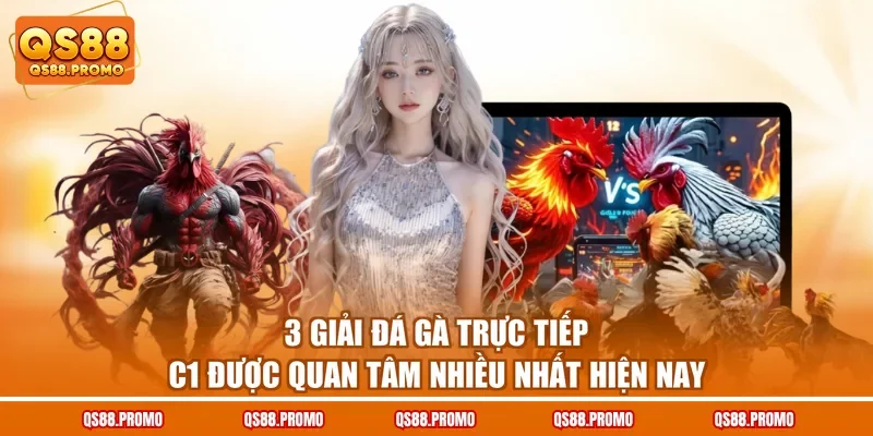 3 Giải Đá Gà Trực Tiếp C1 Được Quan Tâm Nhiều Nhất Hiện Nay
