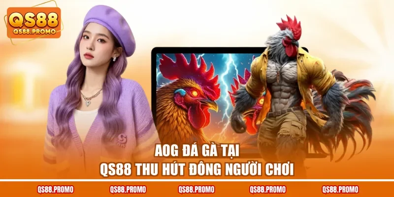AOG đá gà tại QS88 thu hút đông người chơi