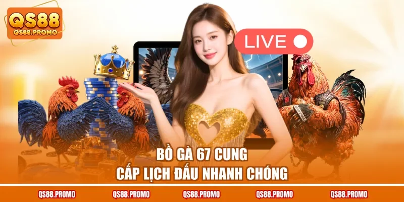 Bồ gà 67 cung cấp lịch đấu nhanh chóng