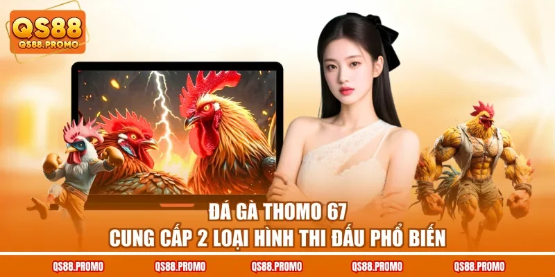 Đá gà Thomo 67 cung cấp 2 loại hình thi đấu phổ biến