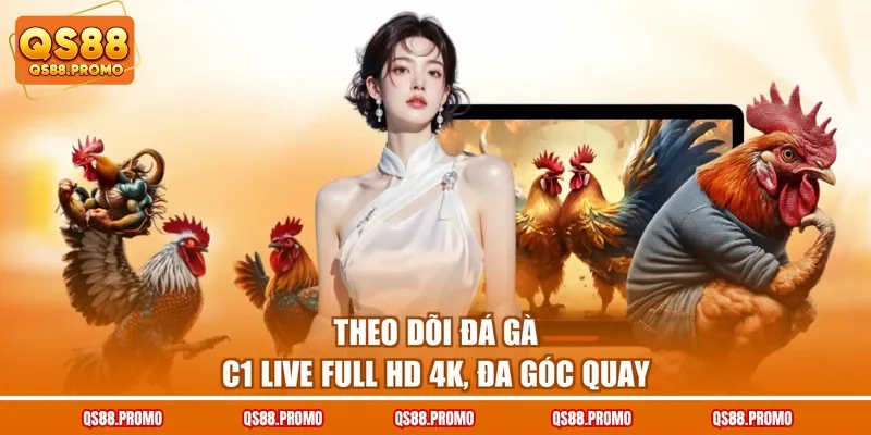Theo dõi đá gà C1 live full HD 4K, đa góc quay