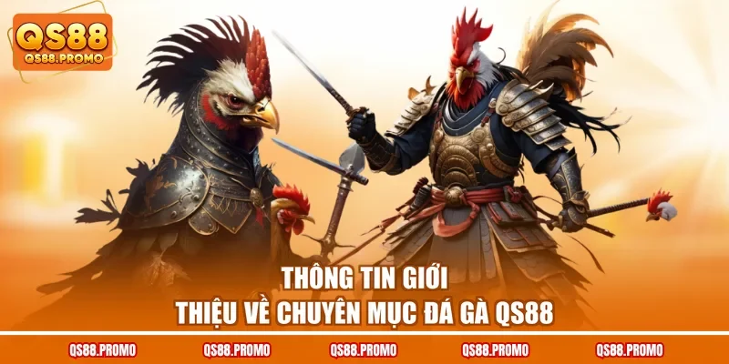 Thông tin giới thiệu về chuyên mục đá gà QS88