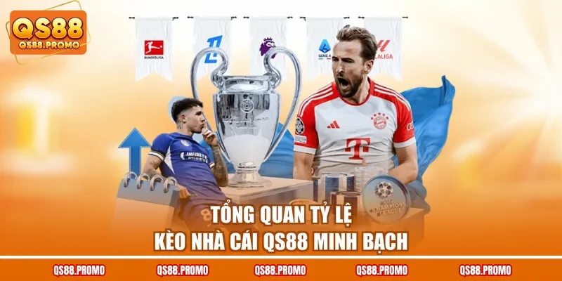 Tổng quan tỷ lệ kèo nhà cái QS88 minh bạch