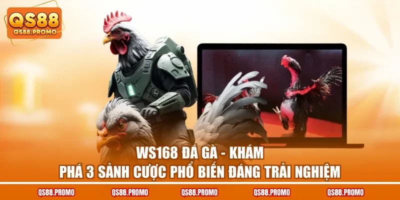 Ws168 Đá Gà - Khám Phá 3 Sảnh Cược Phổ Biến Đáng Trải Nghiệm